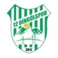 Escudo del 12 Bingölspor