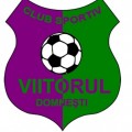 Viitorul Domneşti