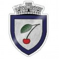 Vişina Nouă