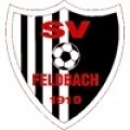 Escudo del SV Feldbach