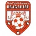 Escudo del Bragadiru