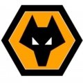 Escudo del Wolverhampton Sub 23