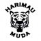 Harimau Muda