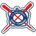 C.F. San Pedro 
