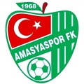 Yeni Amasyaspor