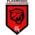 Escudo del Flamengo Arcoverde
