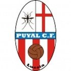 Puyal