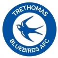 Trethomas Bluebirds?size=60x&lossy=1