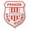Escudo del Pendikspor Sub 19