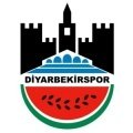 Escudo del Diyarbekirspor Sub 19