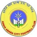Escudo del Addis Ababa Ketema