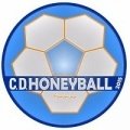 Escudo del Honeyball Fem