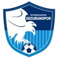 Erzurumspor?size=60x&lossy=1