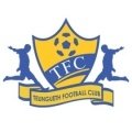 Escudo del Teungueth FC