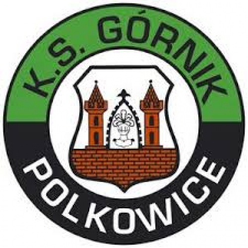 Gornik Polkowice