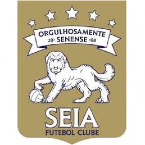 Seia FC Sub 17