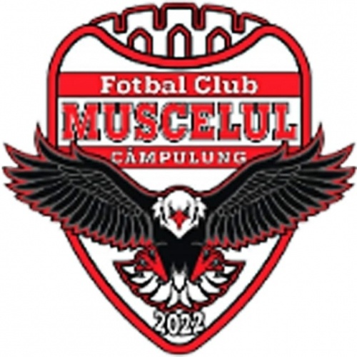 Muscelul Campulung