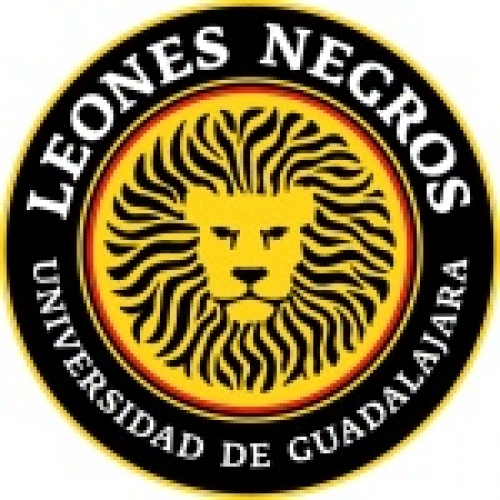 Leones Negros