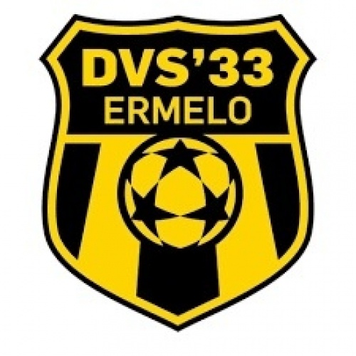 DVS'33