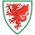 Gales Sub 21