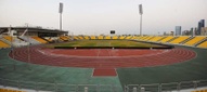 Estadio Suhaim bin Hamad Stadium