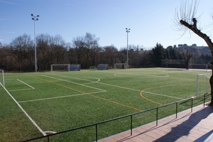 Campos Municipales de Villaviciosa de Odón Campos Municipales de Villaviciosa de Odón