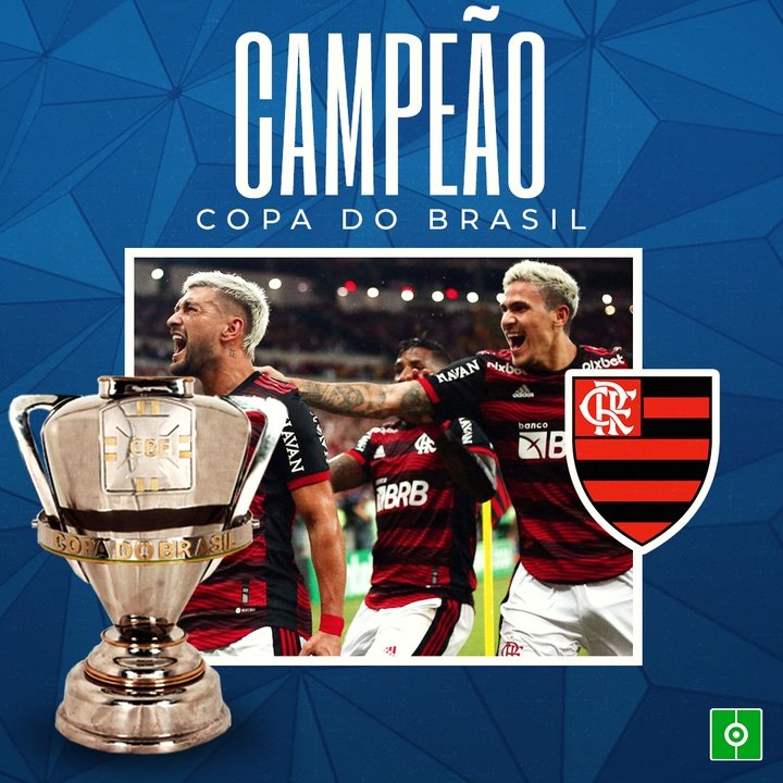 Flamengo Campeao Copa do Brasil