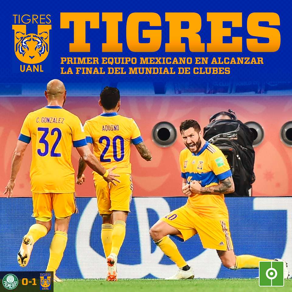 Tigres UANL: Fotos E Infografías