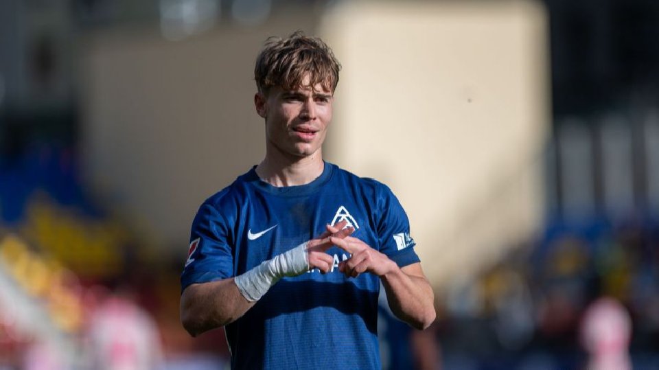 Cerdà atormenta al colista