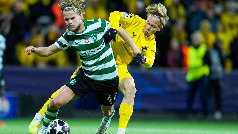 ¿Y si el favorito es este?