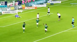 Arias pisa a Botafogo y deja líder a Palmeiras