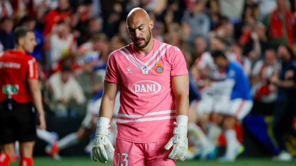 Una rosa negra y pilas para la calculadora