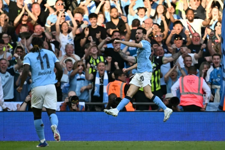 Man City late show beats Southampton to reach FA Cup final