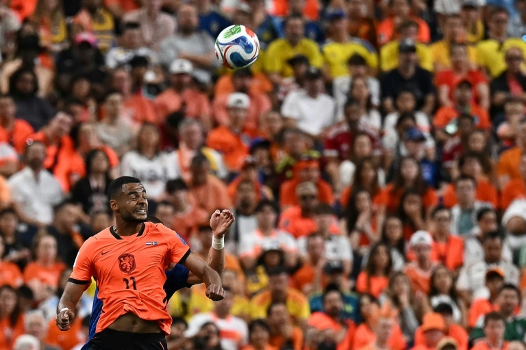 Gakpo savours 'freedom' to fire Dutch in World Cup title bid