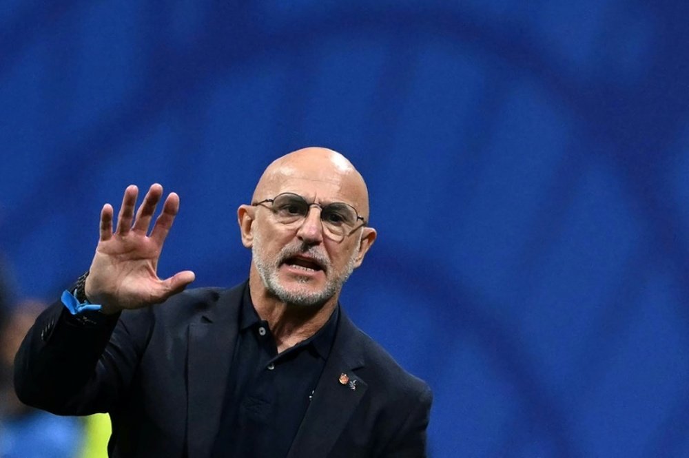 Spain boss Luis de la Fuente