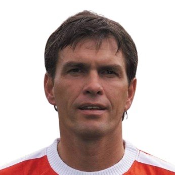 Wim van Zwam