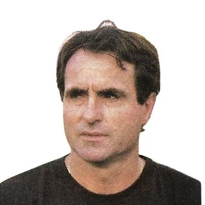 Luiche