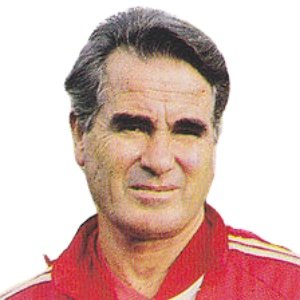 Fernando Cabrita