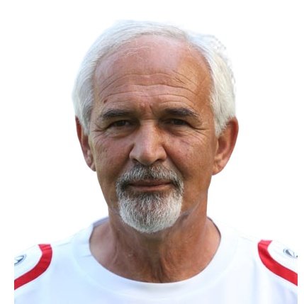 Fuad Djulic