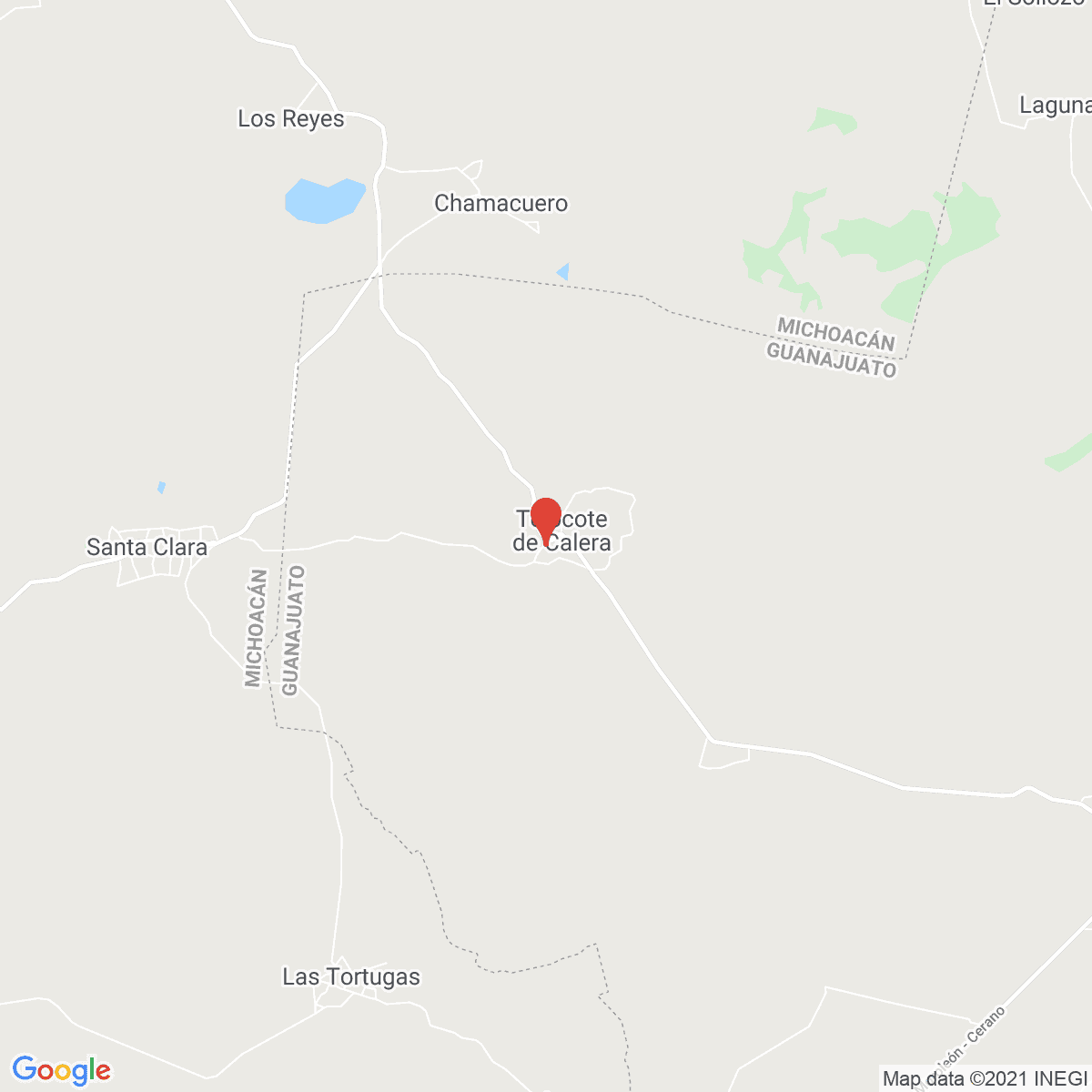 Tejocote de Calera