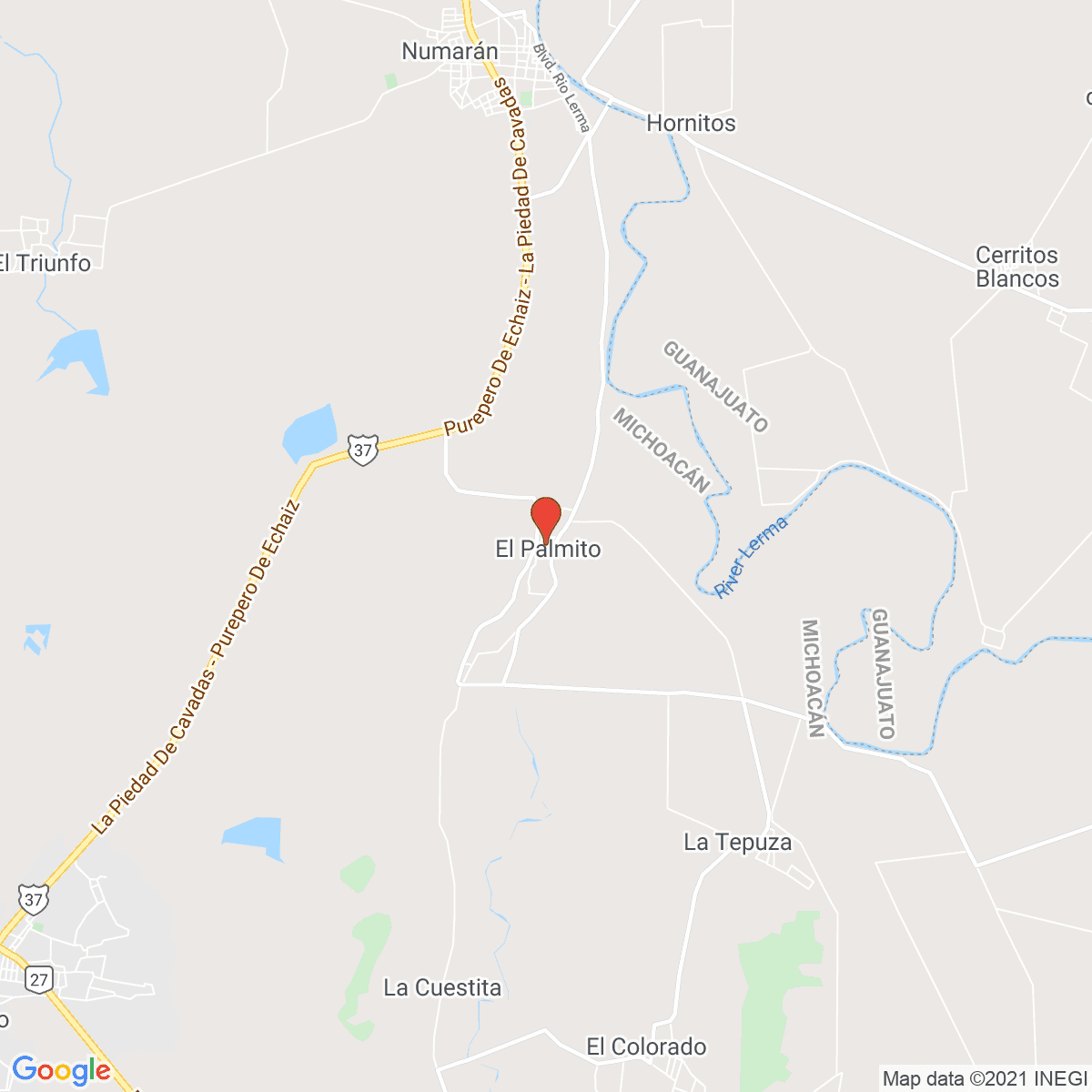 El Palmito