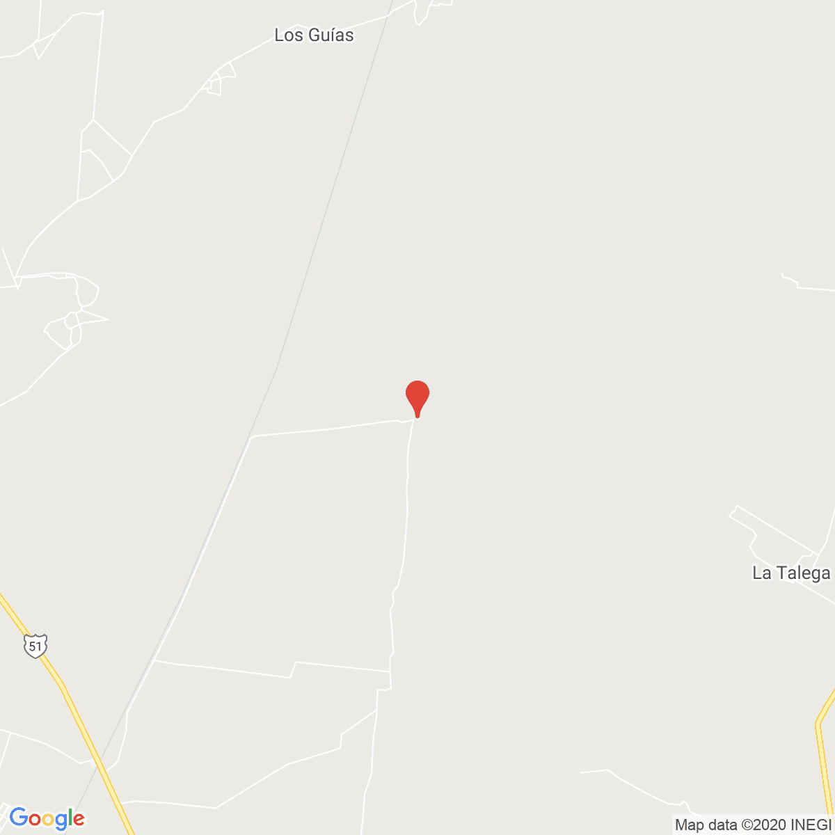 Palo Colorado