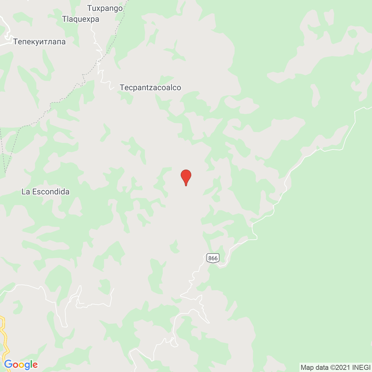 Coxolico