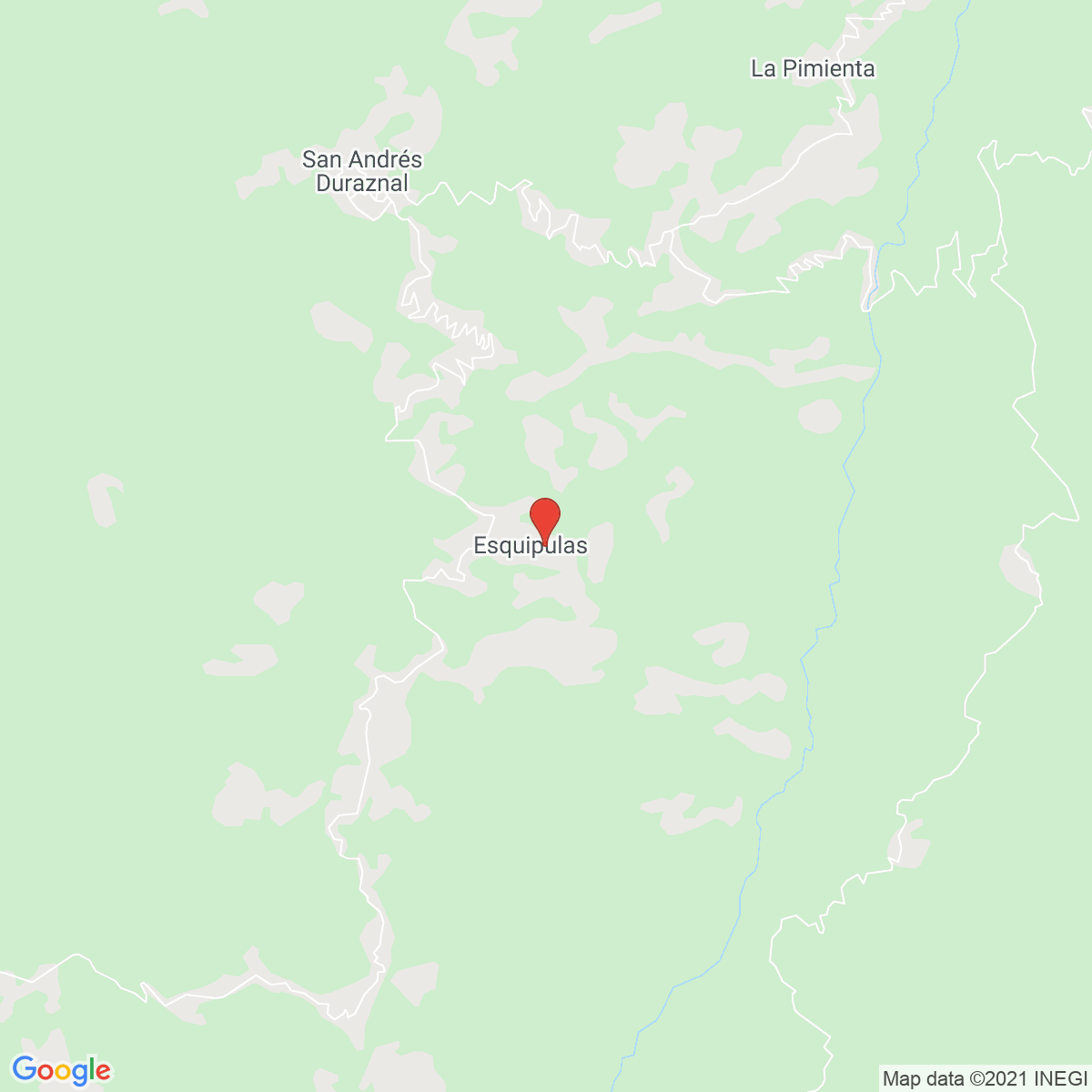 Cálido