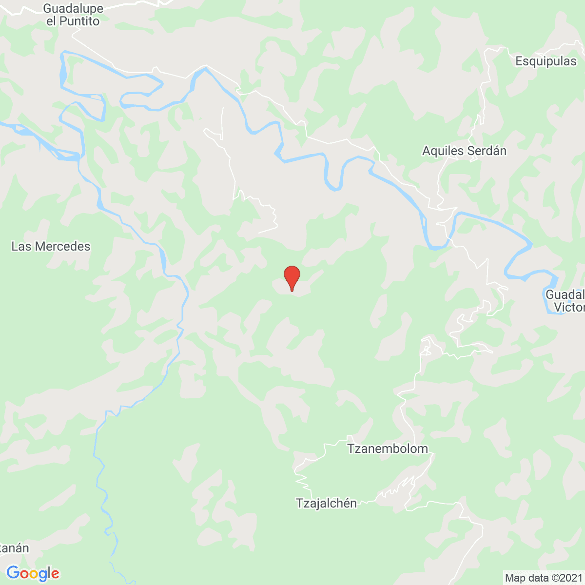 Constitución