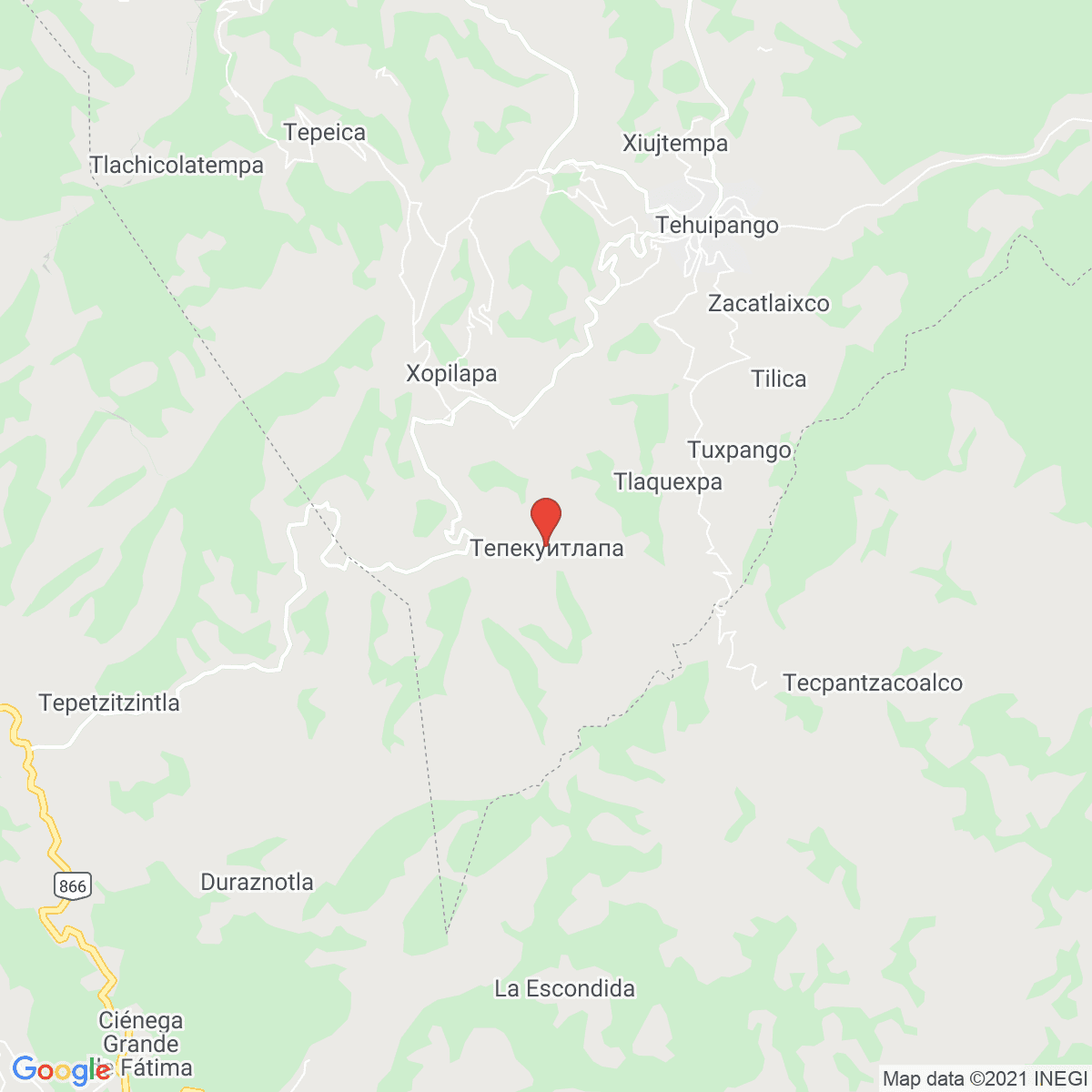 Tepecuitlapa