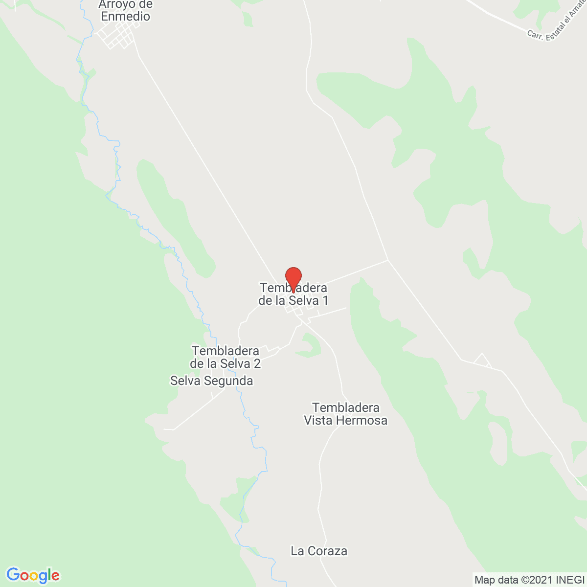 Tembladera de la Selva 1