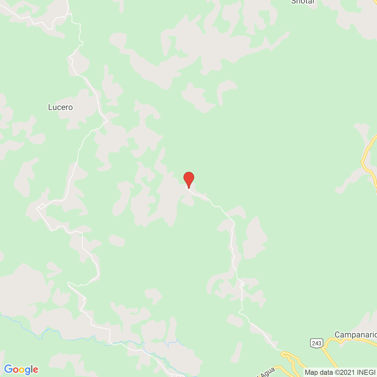 Jochinteol