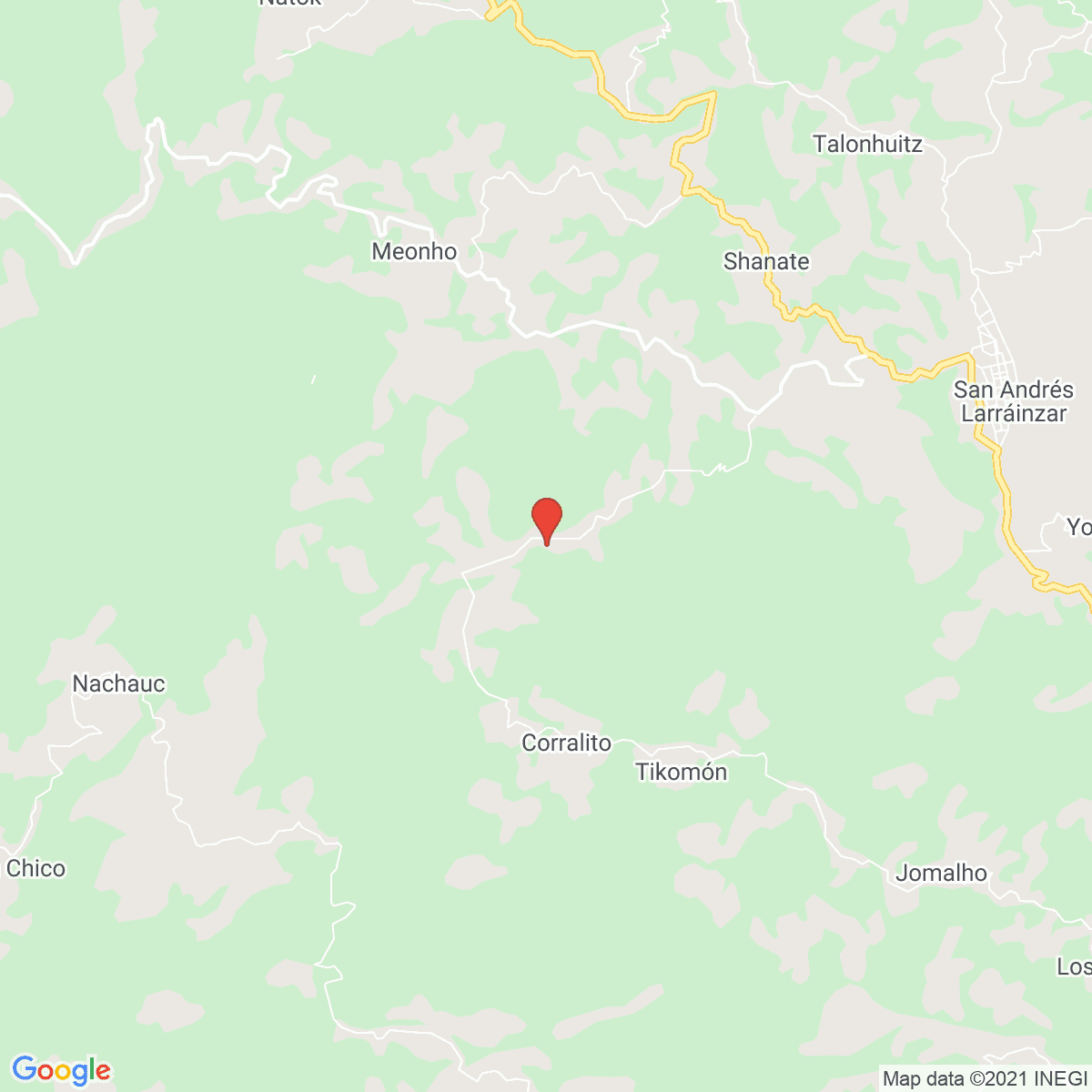 Muctahuitz