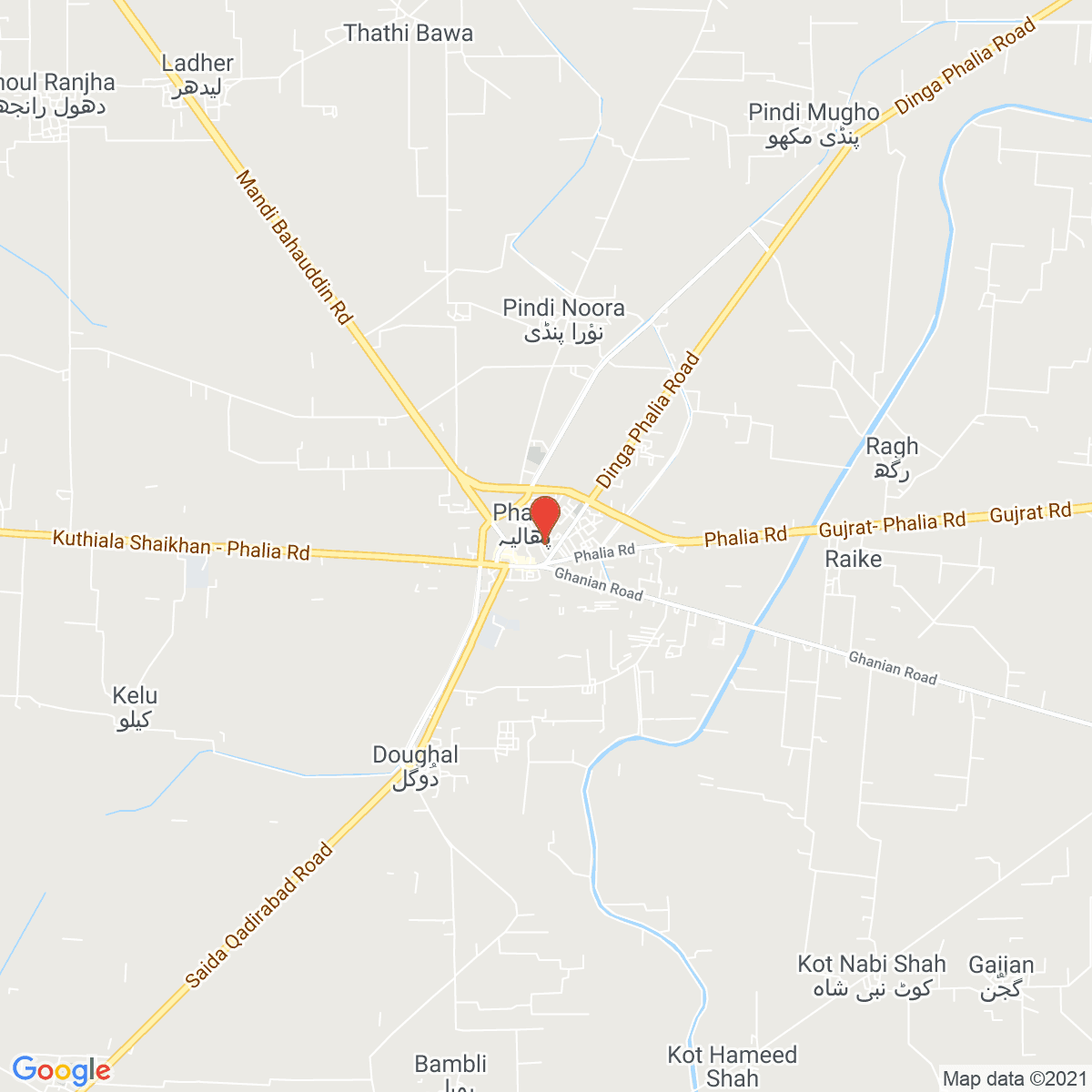 Phalia